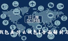 : ERC20钱包是什么钱包？全